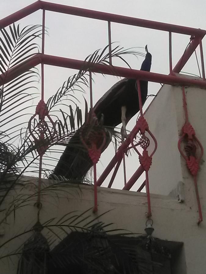 Jaypore House Bed & Breakfast New Delhi Exterior foto
